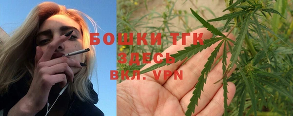 прущие грибы Арсеньев