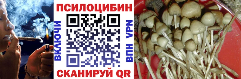 Купить закладки  Гагарин  Галлюциногенные грибы мухоморы 